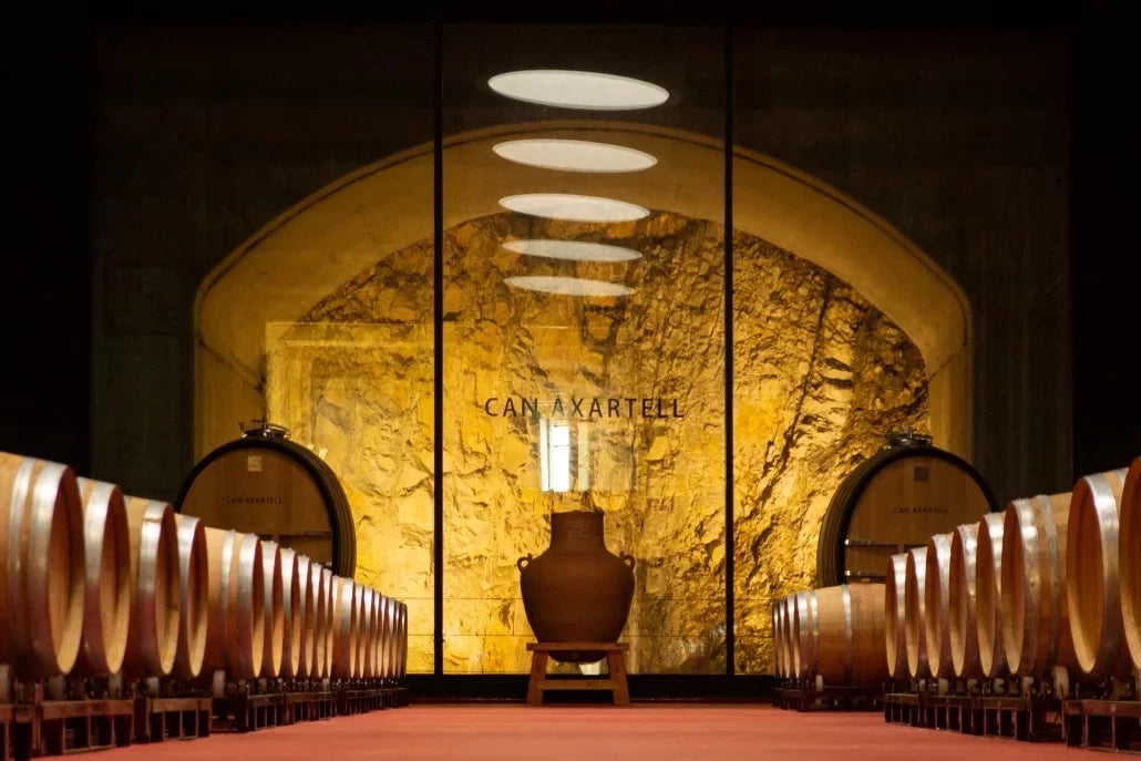 カンアシャルテルのイメージ3