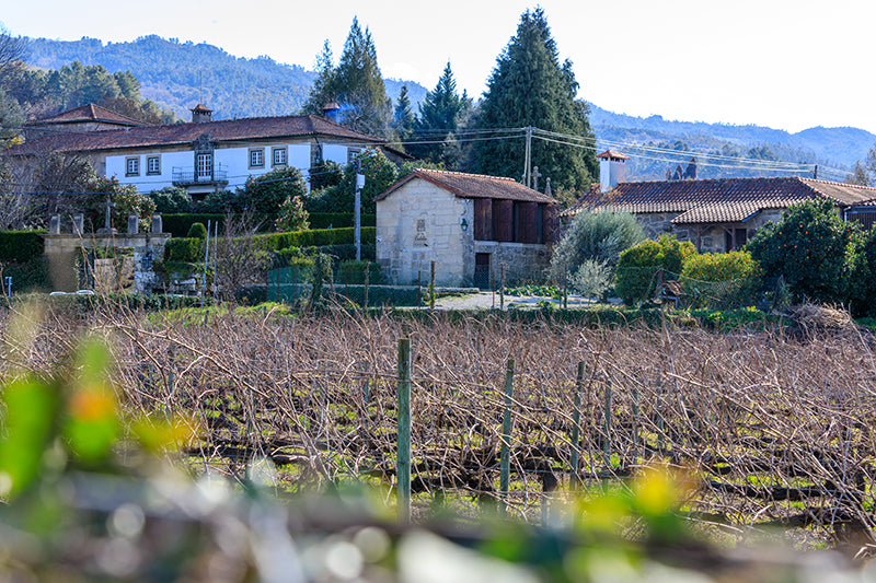 CasaSantaEulalia家屋