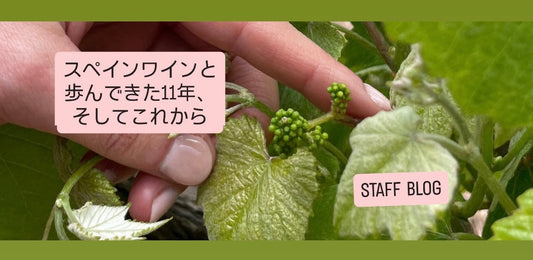 スペインワインと歩んできた11年、そしてこれから