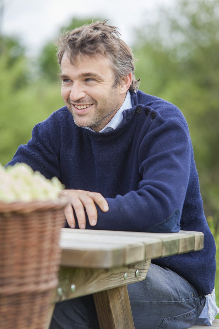 ルポルミエ ポミヨン｜LE PAULMIER POMMILLON – AITANA WINE HOUSE